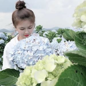 Meet your Posher, Nhi